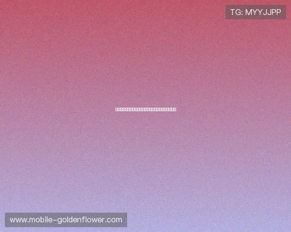 帕森斯社会系统理论的核心观点与现实社会中的应用分析